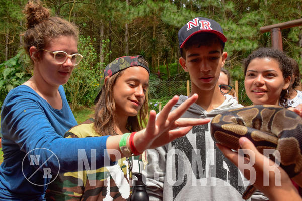 Buy your photos of the eventNR Sun - 31  A 04/11/18 on Fotop