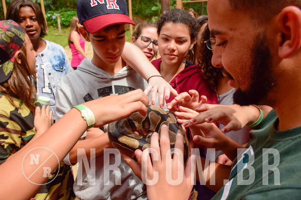 Buy your photos of the eventNR Sun - 31  A 04/11/18 on Fotop