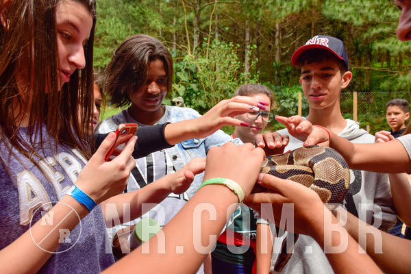 Buy your photos of the eventNR Sun - 31  A 04/11/18 on Fotop