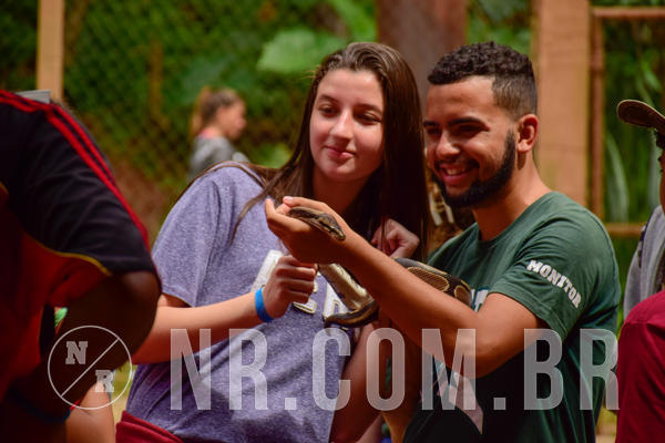 Buy your photos of the eventNR Sun - 31  A 04/11/18 on Fotop