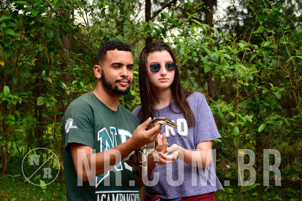 Buy your photos of the eventNR Sun - 31  A 04/11/18 on Fotop