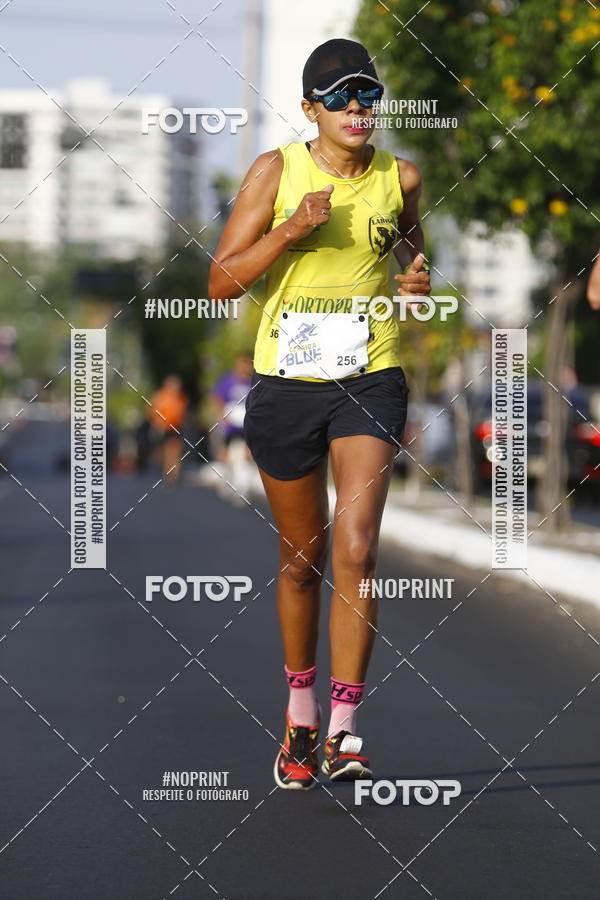 Buy your photos of the eventCorrida Blue on Fotop
