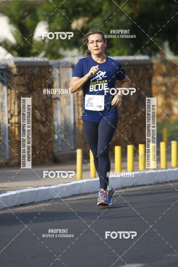 Buy your photos of the eventCorrida Blue on Fotop