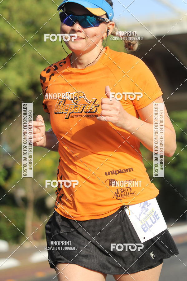 Buy your photos of the eventCorrida Blue on Fotop