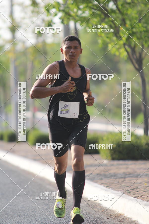 Buy your photos of the eventCorrida Blue on Fotop