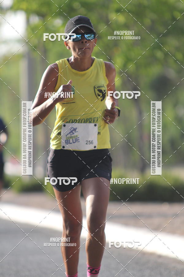 Buy your photos of the eventCorrida Blue on Fotop