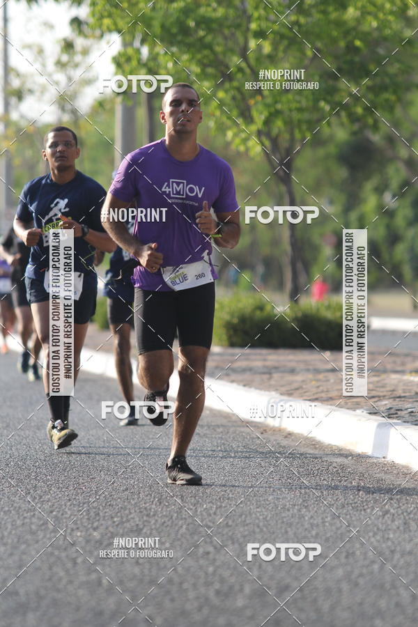 Buy your photos of the eventCorrida Blue on Fotop