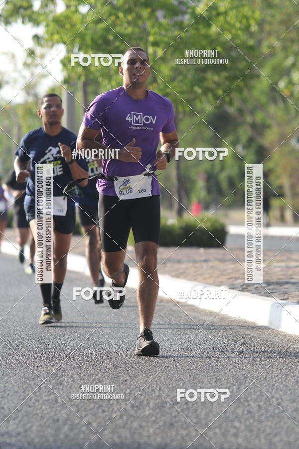 Buy your photos of the eventCorrida Blue on Fotop