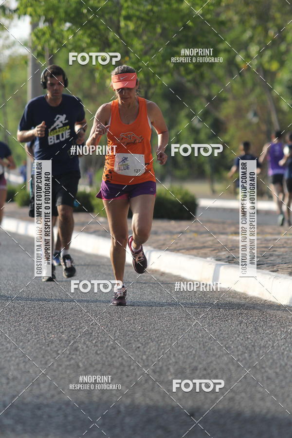 Buy your photos of the eventCorrida Blue on Fotop