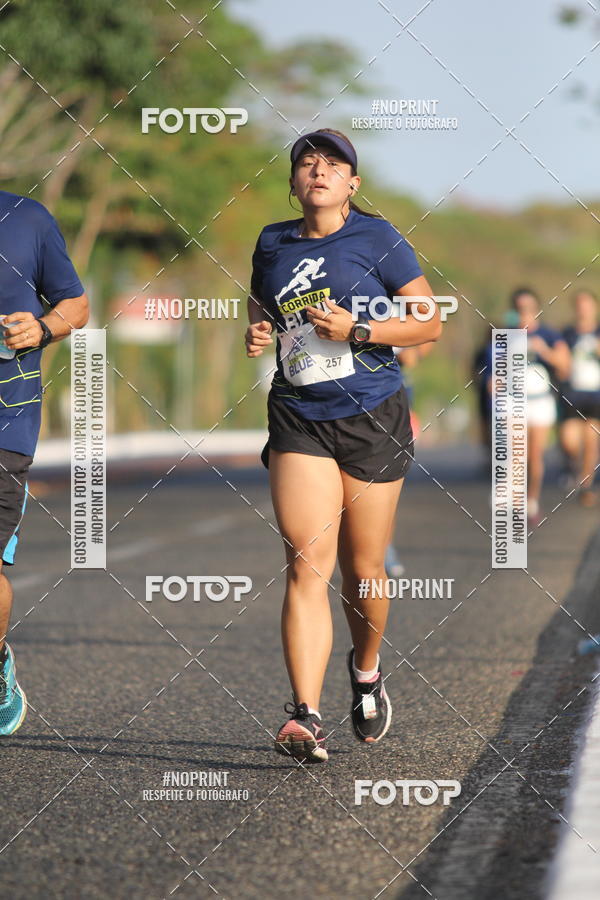 Buy your photos of the eventCorrida Blue on Fotop