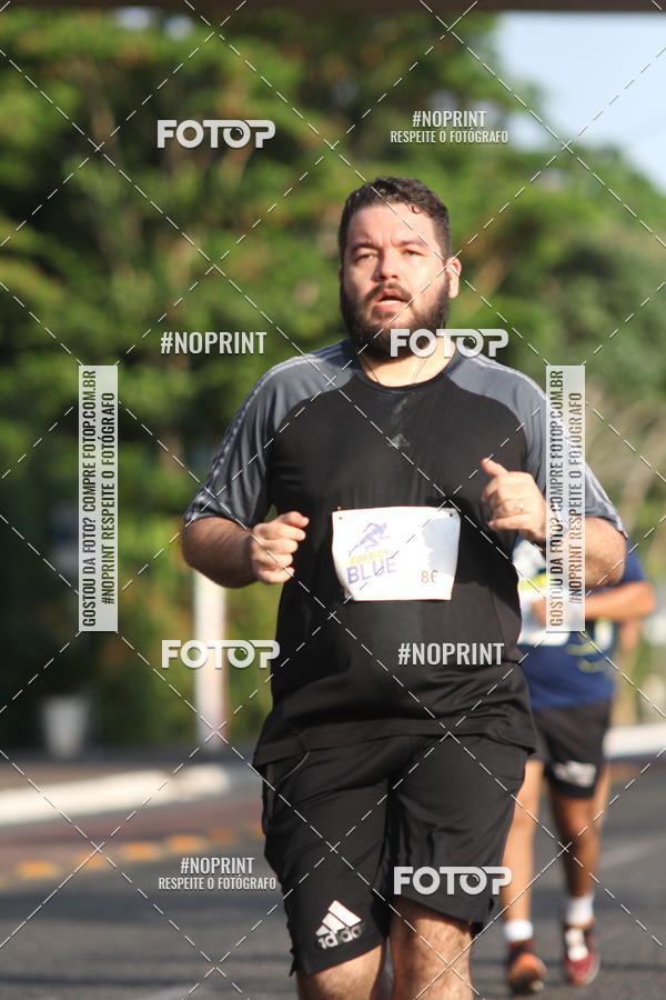 Buy your photos of the eventCorrida Blue on Fotop