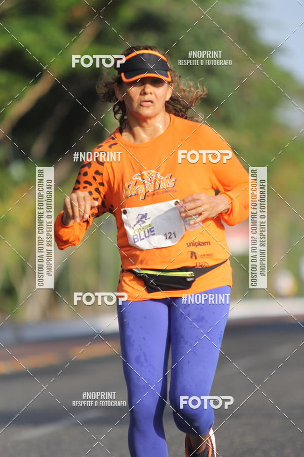 Buy your photos of the eventCorrida Blue on Fotop