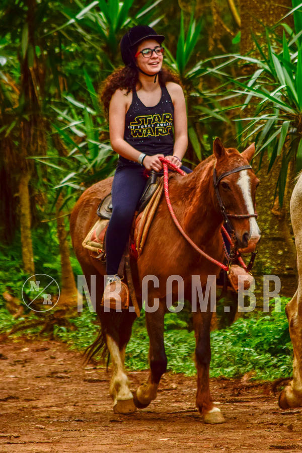 Buy your photos of the eventNR Sun - 04 A 07/11/18 on Fotop