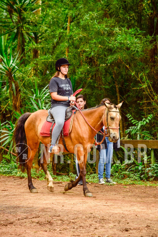 Buy your photos of the eventNR Sun - 04 A 07/11/18 on Fotop