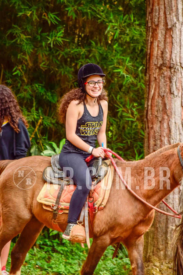 Buy your photos of the eventNR Sun - 04 A 07/11/18 on Fotop