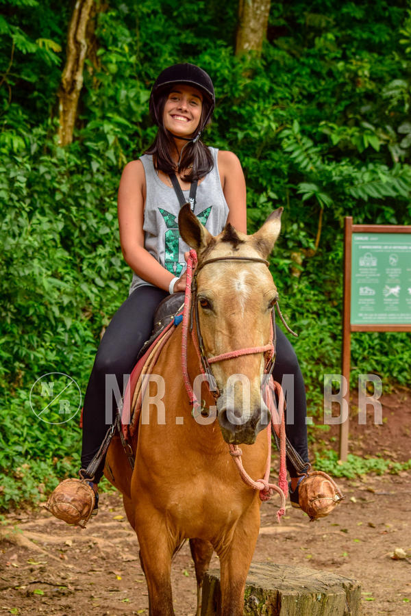 Buy your photos of the eventNR Sun - 04 A 07/11/18 on Fotop