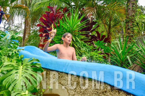 Buy your photos of the eventNR Sun - 04 A 07/11/18 on Fotop