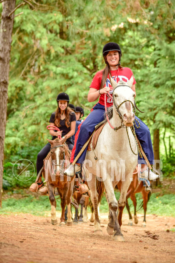 Buy your photos of the eventNR Sun - 04 A 07/11/18 on Fotop