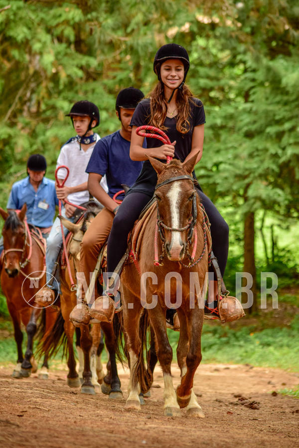 Buy your photos of the eventNR Sun - 04 A 07/11/18 on Fotop