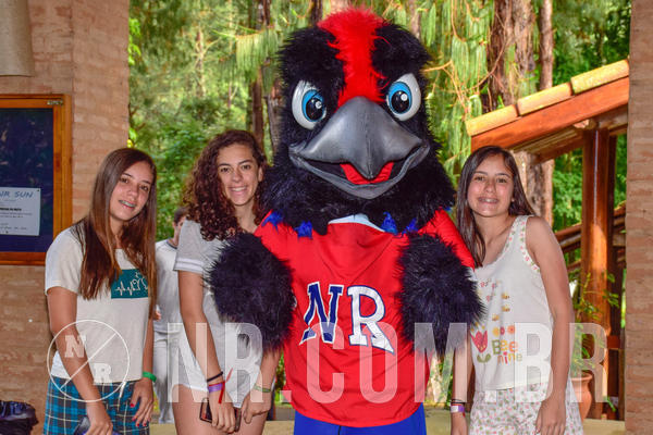 Buy your photos of the eventNR Sun - 04 A 07/11/18 on Fotop