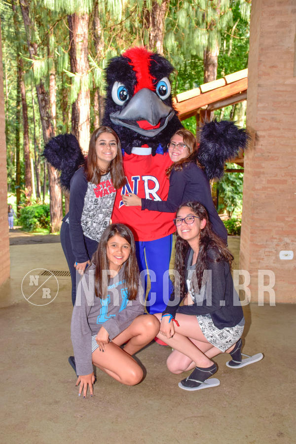 Buy your photos of the eventNR Sun - 04 A 07/11/18 on Fotop