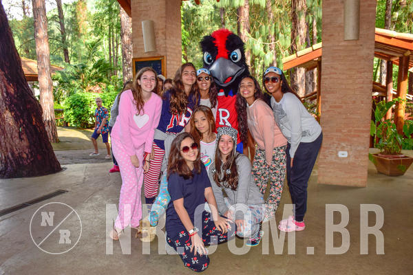 Buy your photos of the eventNR Sun - 04 A 07/11/18 on Fotop