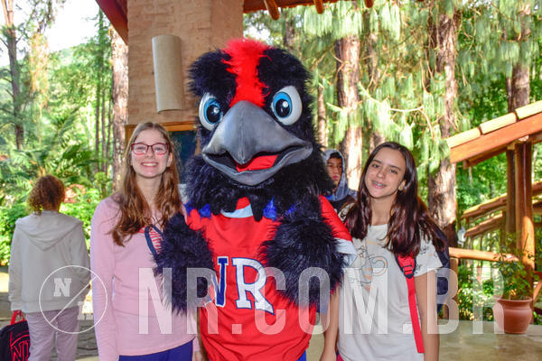 Buy your photos of the eventNR Sun - 04 A 07/11/18 on Fotop