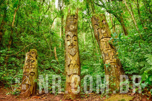 Buy your photos of the eventNR Sun - 04 A 07/11/18 on Fotop