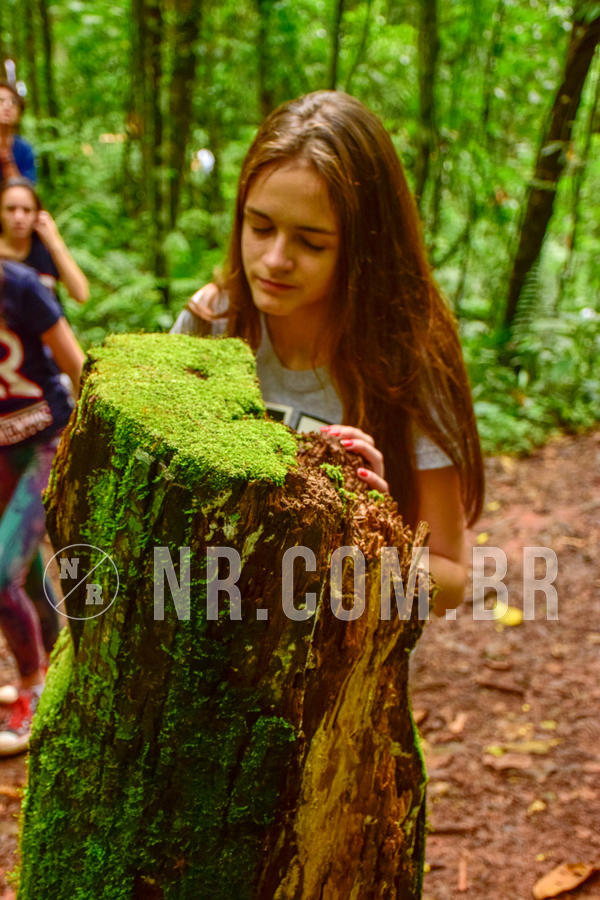 Buy your photos of the eventNR Sun - 04 A 07/11/18 on Fotop