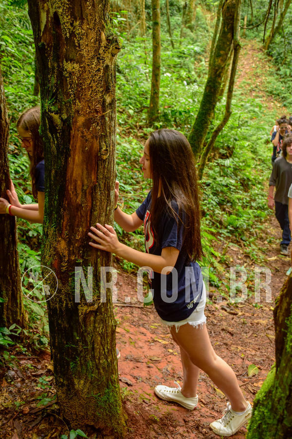 Buy your photos of the eventNR Sun - 04 A 07/11/18 on Fotop