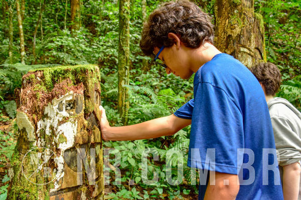 Buy your photos of the eventNR Sun - 04 A 07/11/18 on Fotop