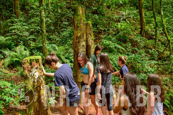 Buy your photos of the eventNR Sun - 04 A 07/11/18 on Fotop