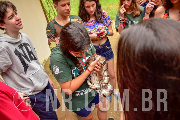 Buy your photos of the eventNR Sun - 04 A 07/11/18 on Fotop