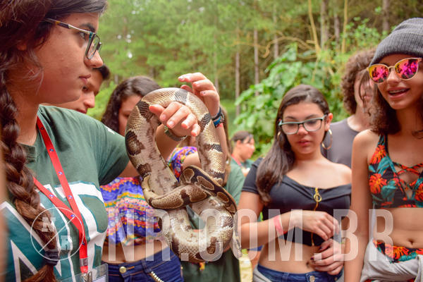 Buy your photos of the eventNR Sun - 04 A 07/11/18 on Fotop