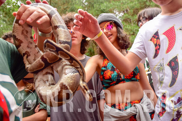 Buy your photos of the eventNR Sun - 04 A 07/11/18 on Fotop