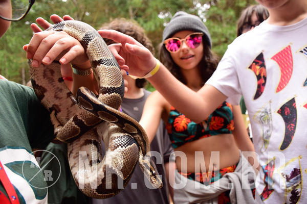 Buy your photos of the eventNR Sun - 04 A 07/11/18 on Fotop