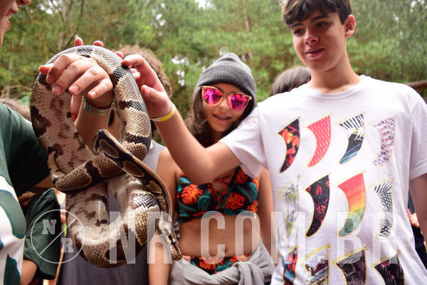 Buy your photos of the eventNR Sun - 04 A 07/11/18 on Fotop