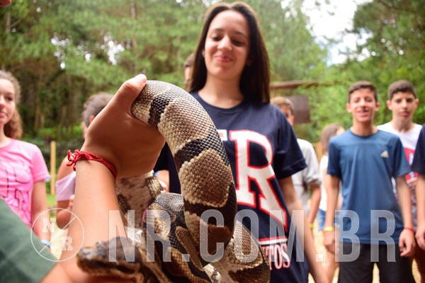 Buy your photos of the eventNR Sun - 04 A 07/11/18 on Fotop