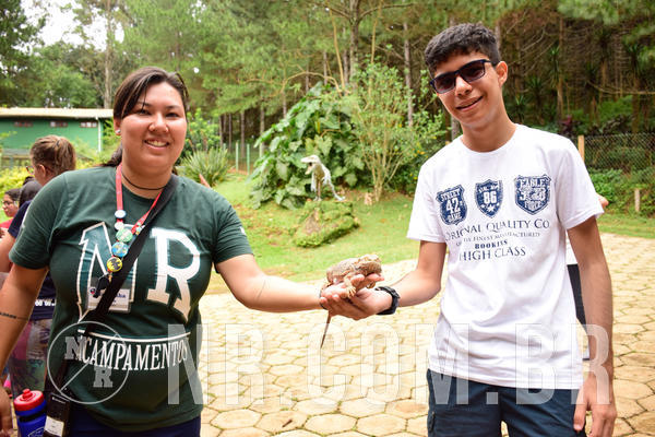 Buy your photos of the eventNR Sun - 04 A 07/11/18 on Fotop