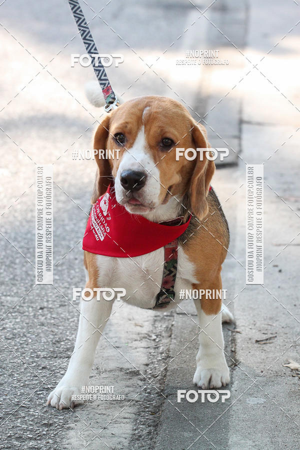 Buy your photos of the event4� Corrida e C�ominhada Abrigo Jo�o Rosa - Etapa Feliz NatAU on Fotop