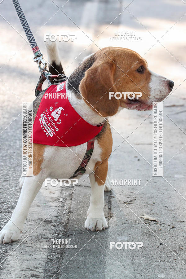 Buy your photos of the event4� Corrida e C�ominhada Abrigo Jo�o Rosa - Etapa Feliz NatAU on Fotop