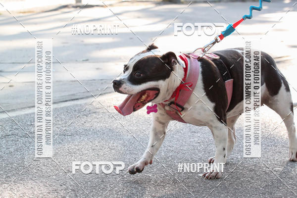 Buy your photos of the event4� Corrida e C�ominhada Abrigo Jo�o Rosa - Etapa Feliz NatAU on Fotop