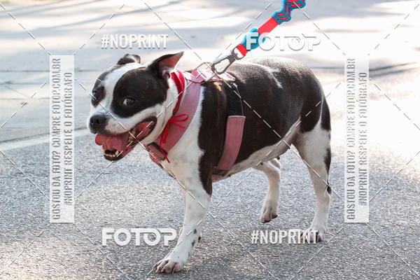 Buy your photos of the event4� Corrida e C�ominhada Abrigo Jo�o Rosa - Etapa Feliz NatAU on Fotop