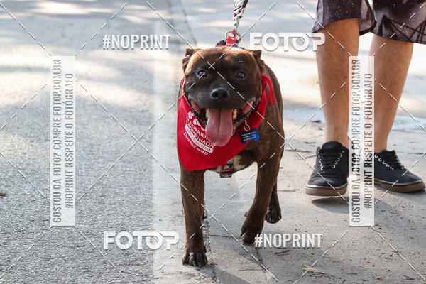 Buy your photos of the event4� Corrida e C�ominhada Abrigo Jo�o Rosa - Etapa Feliz NatAU on Fotop