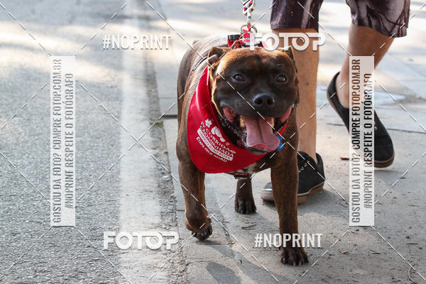 Buy your photos of the event4� Corrida e C�ominhada Abrigo Jo�o Rosa - Etapa Feliz NatAU on Fotop