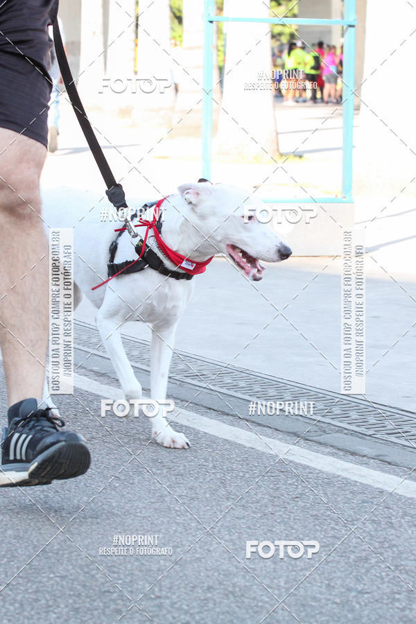 Buy your photos of the event4� Corrida e C�ominhada Abrigo Jo�o Rosa - Etapa Feliz NatAU on Fotop