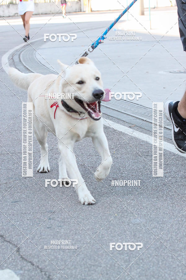 Buy your photos of the event4� Corrida e C�ominhada Abrigo Jo�o Rosa - Etapa Feliz NatAU on Fotop