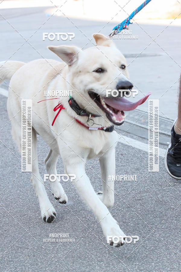 Buy your photos of the event4� Corrida e C�ominhada Abrigo Jo�o Rosa - Etapa Feliz NatAU on Fotop