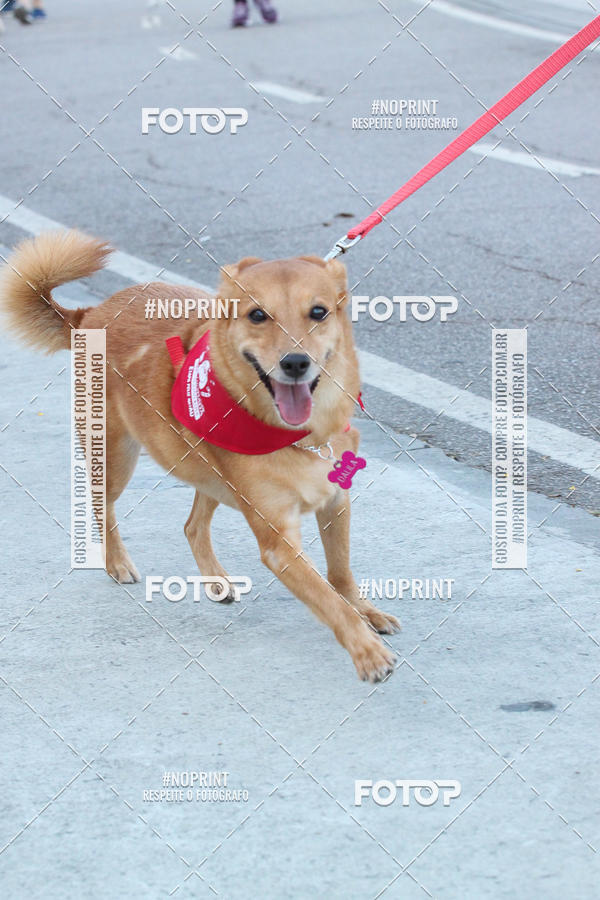 Buy your photos of the event4� Corrida e C�ominhada Abrigo Jo�o Rosa - Etapa Feliz NatAU on Fotop