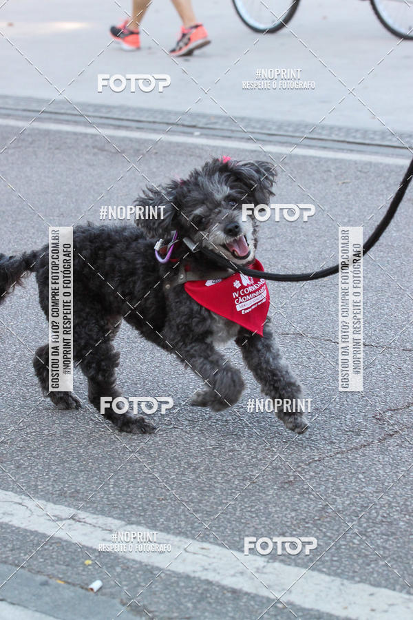 Buy your photos of the event4� Corrida e C�ominhada Abrigo Jo�o Rosa - Etapa Feliz NatAU on Fotop